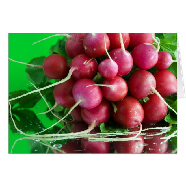 Radish (Anverso (Horizontal))