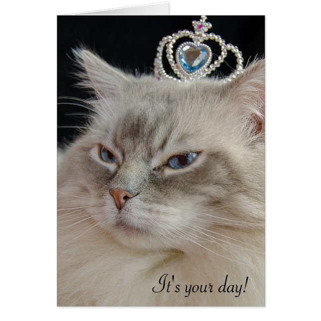 Ragdoll cat con corona de joyas (Frente)