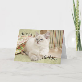 Ragdoll con tarjeta de cumpleaños giftbags