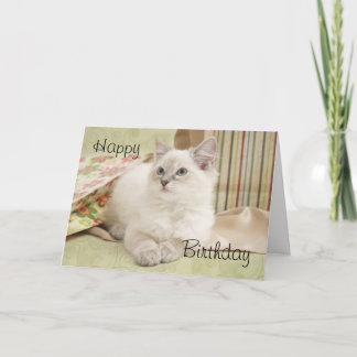 Ragdoll con tarjeta de cumpleaños giftbags