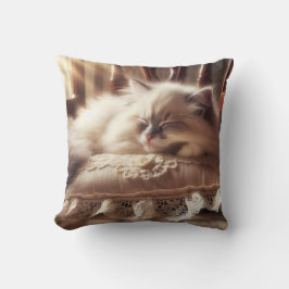 Ragdoll Kitten durmiendo sobre una almohada