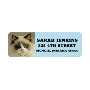 RAGDOLL PERSIAN CAT Grandes etiquetas de dirección