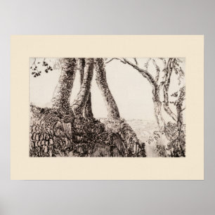 Raíces de árbol Cornwall Eleanor Hughes Impresión 