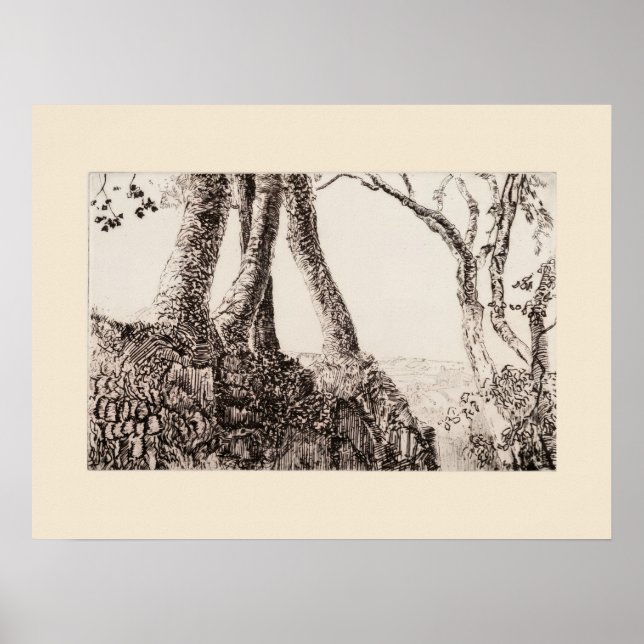 Raíces de árbol Cornwall Eleanor Hughes Impresión  (Frente)