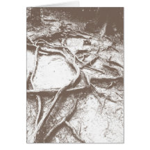 Raíces del árbol en Mt. Kurama