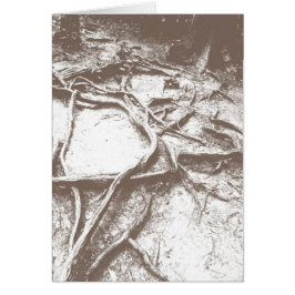 Raíces del árbol en Mt. Kurama