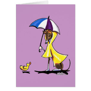 Rainbow de Italia Greyhound