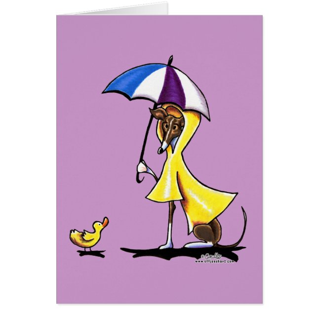 Rainbow de Italia Greyhound (Frente)