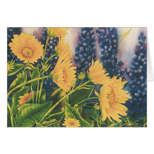 Raíz y Lupine del bálsamo