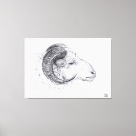 Ram - Dibujo original - Imprimir lienzo