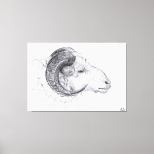 Ram - Dibujo original - Imprimir lienzo