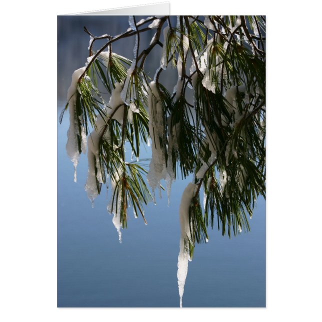 Rama congelada (Frente)