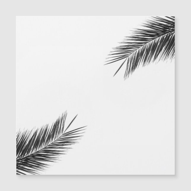 Rama de árbol de palma (Anverso)