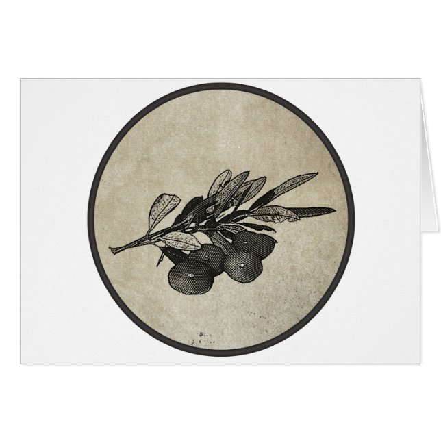 Rama de olivo (Anverso (Horizontal))