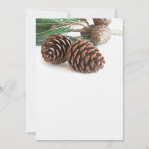 Rama y conos de pino