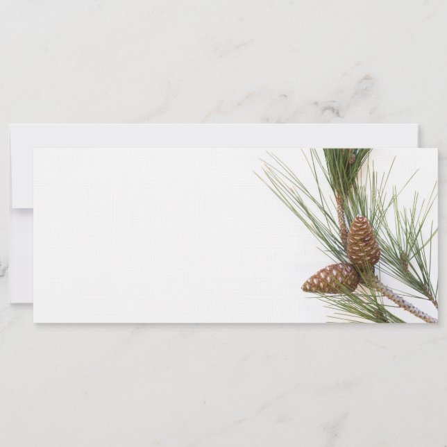 Rama y conos de pino (Anverso)