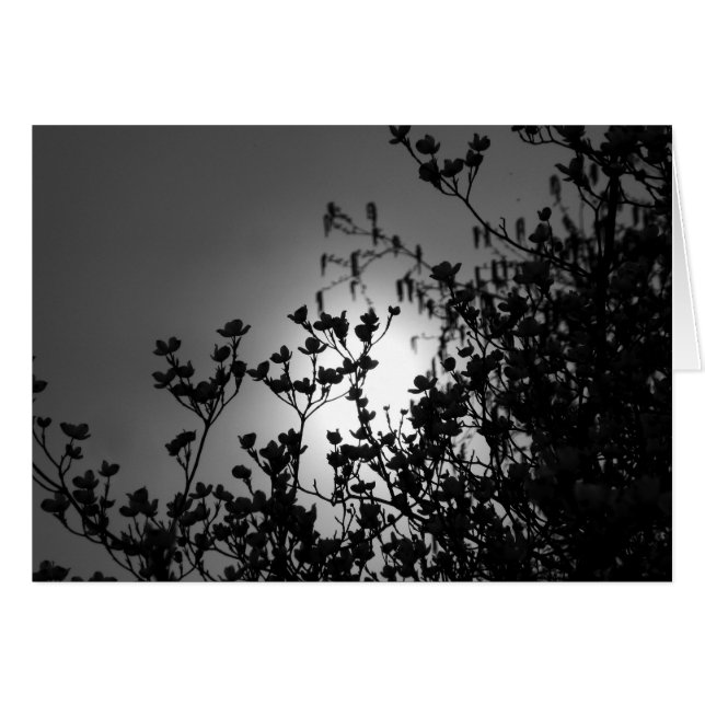 Ramas (Anverso (Horizontal))