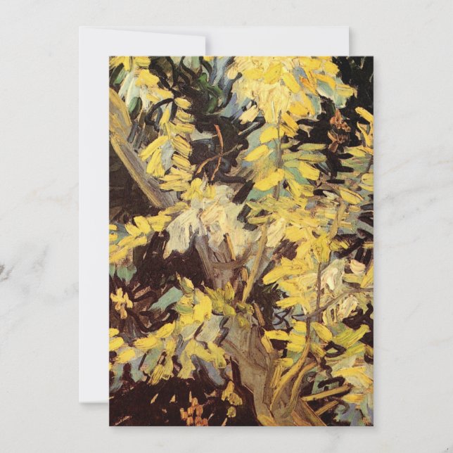 Ramas de acacia florecidas de Vincent van Gogh (Anverso)