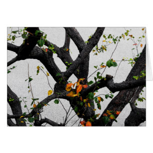 Ramas de árbol de otoño