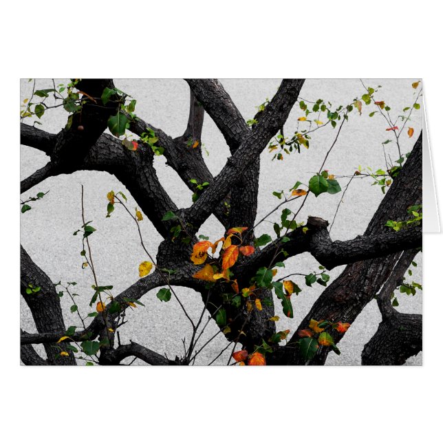 Ramas de árbol de otoño (Anverso (Horizontal))