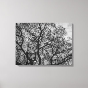 Ramas de árbol en la impresión de lienzos en blanc
