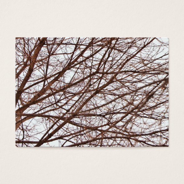 Ramas de árbol en otoño (Frente)