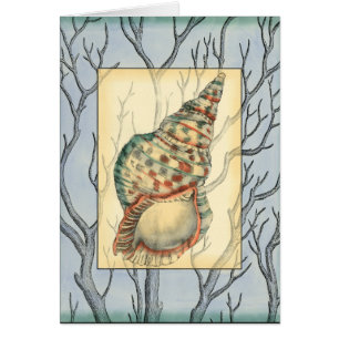 Ramas de árbol y de conchas marinas