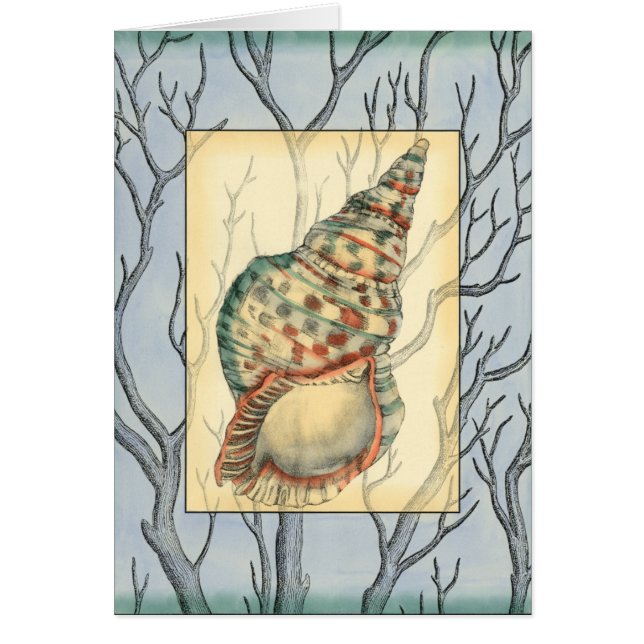 Ramas de árbol y de conchas marinas (Frente)