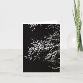 Ramas de Frosted - Tarjeta plegada en blanco