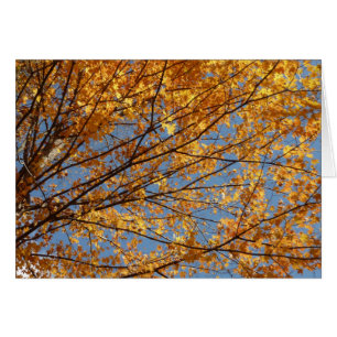 Ramas de hojas de arce II Naranja Otoño