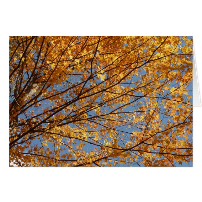 Ramas de Hojas de Arce II Otoño Naranja (Anverso (Horizontal))