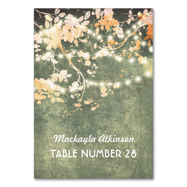 ramas de las cadenas de las tarjetas de acompañami (Anverso)