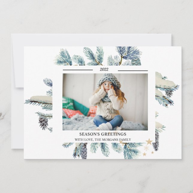 Ramas De Pino-Árbol Fotos TEMPORADA DE RETIRO (Anverso)