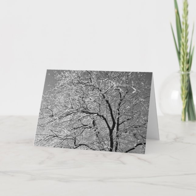 Ramas del árbol de cerezo tarjeta de Navidad 2 (Anverso)