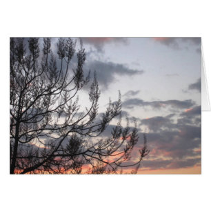 Ramas del atardecer