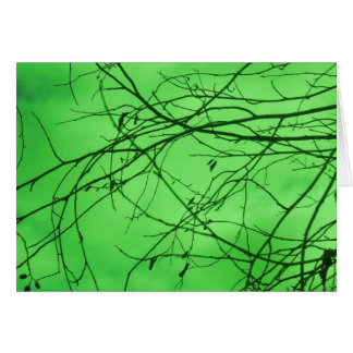 Ramas Verdes