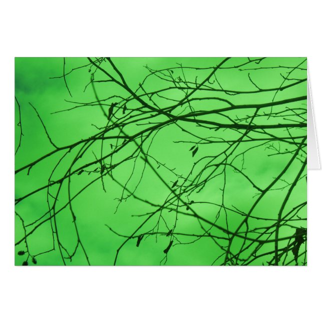 Ramas Verdes (Anverso (Horizontal))