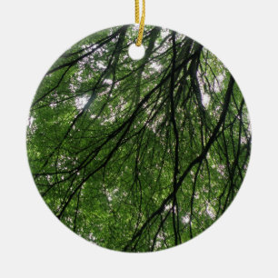 Ramas y hojas Ornamento
