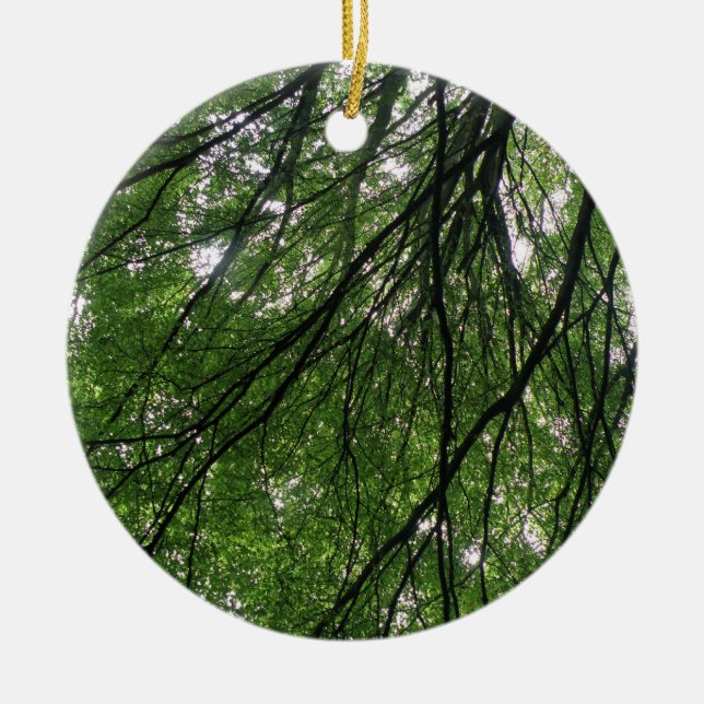 Ramas y hojas Ornamento (Frente)