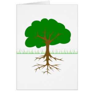 Ramas y raíces de árbol