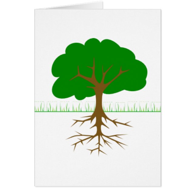 Ramas y raíces de árbol (Frente)