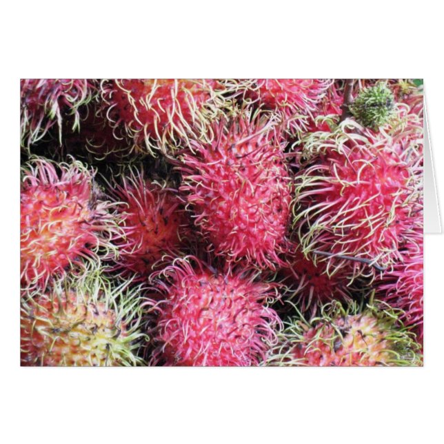 Rambutan salvaje y lanoso (Anverso (Horizontal))