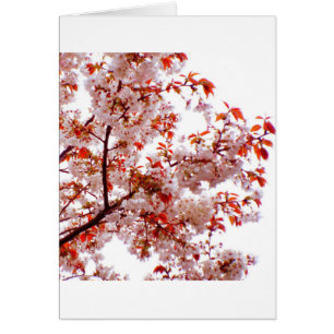 RAMO MAGNÍFICO DE FLORACIONES