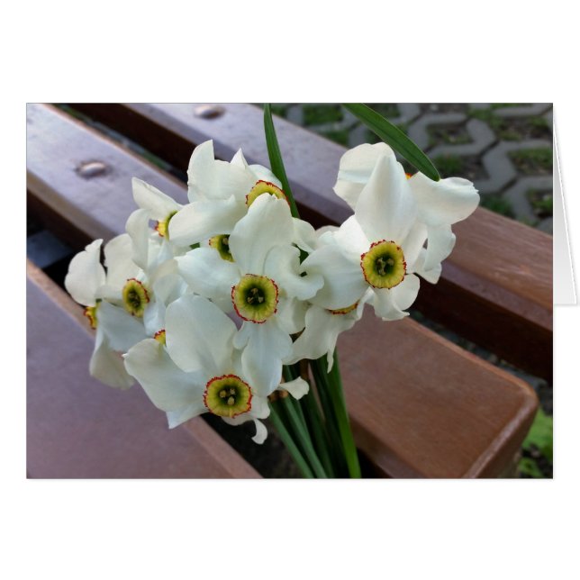 ramo olvidado (Anverso (Horizontal))