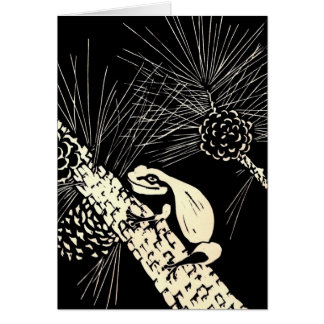 rana arbórea de los barrens del pino