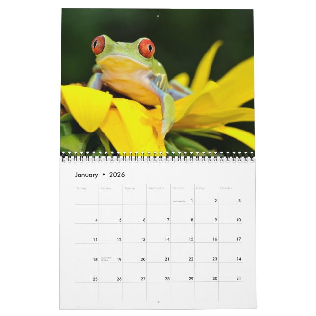 rana arbórea observada rojo, calendario de las (Jan 2026)