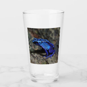 Rana Dart de veneno azul, Rana azul brillante