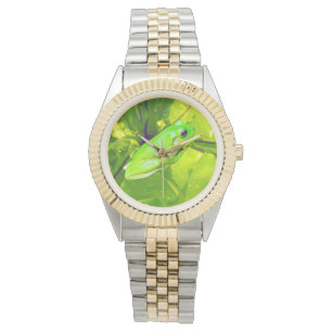 Rana de árbol verde, reloj de pulsera Unisex
