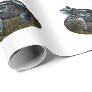 Rana de hierbas, papel de envolver