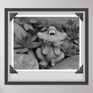 Rana De Jardín Cuta Impresión En Blanco Y Negro